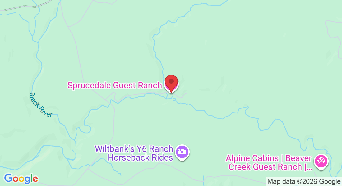 1228 Wiltbank Road, Alpine, AZ 85920, USA