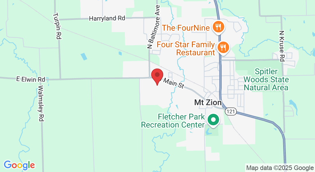 195 Lexington Cir, Mt Zion, IL 62549, USA