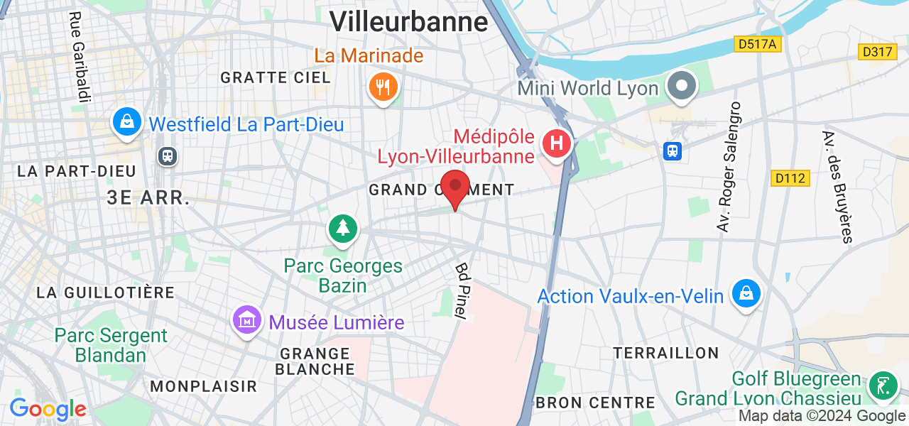 44 Av. Paul Kruger, 69100 Villeurbanne, France