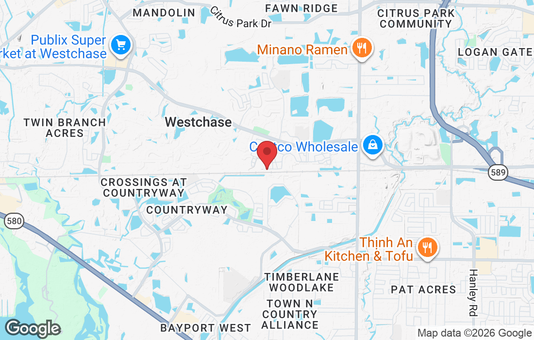 9812 Tate Ln, Westchase, FL 33626, USA
