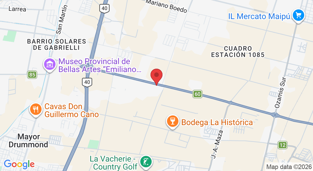 RP60 29, M5507 Mayor Drummond, Mendoza, Argentina