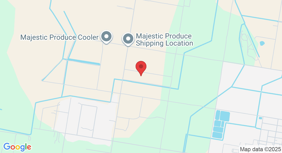 9917 Grapefruit Dr, Monte Alto, TX 78538, USA