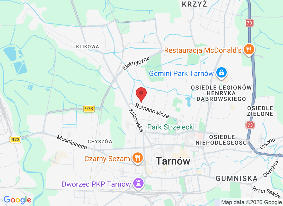 Romanowicza 57A, 33-100 Tarnów, Poland