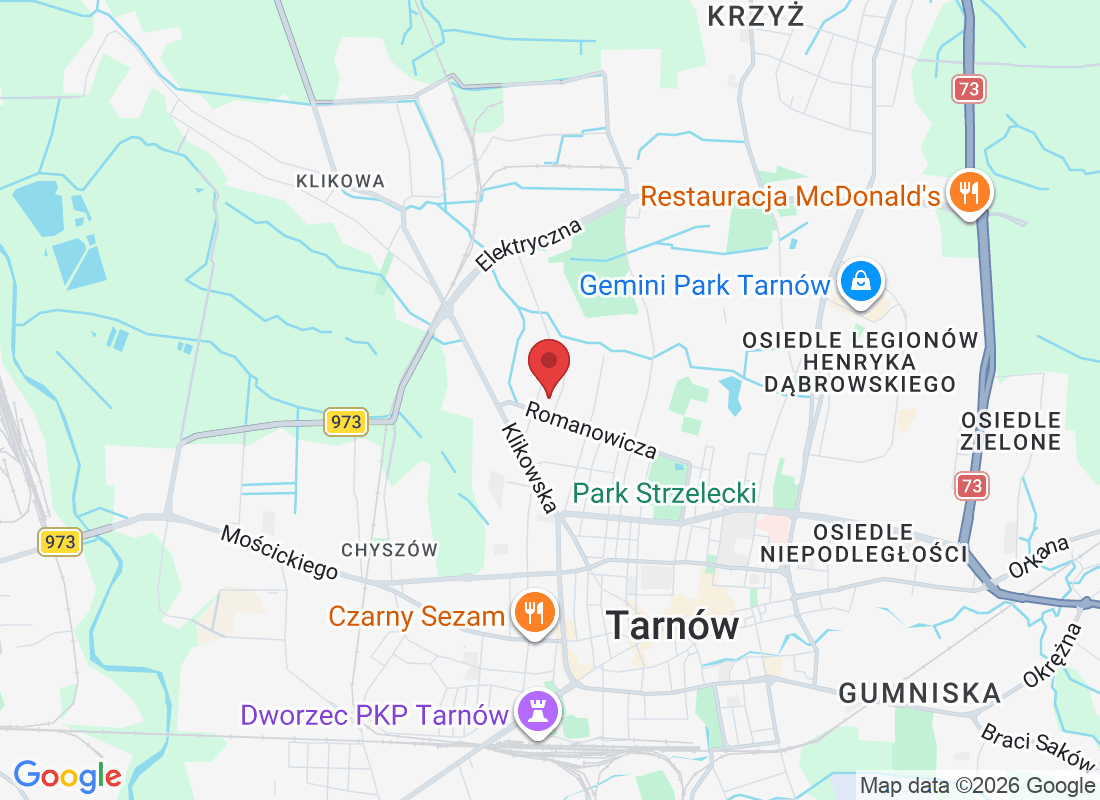 Romanowicza 57A, 33-100 Tarnów, Poland
