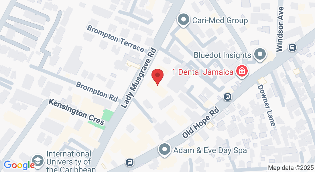 8 Lady Musgrave Rd, Kingston, Jamaica