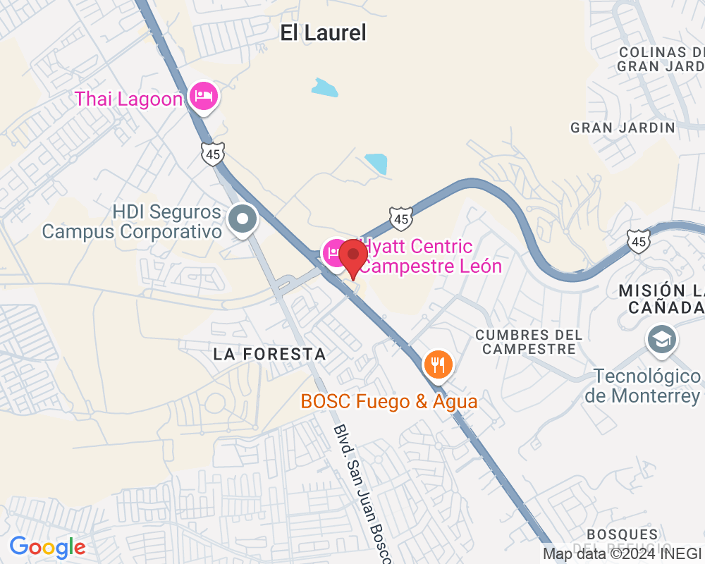 P.º de los Insurgentes 3356, San Jose de las Piletas, 37358 León de los Aldama, Gto., México