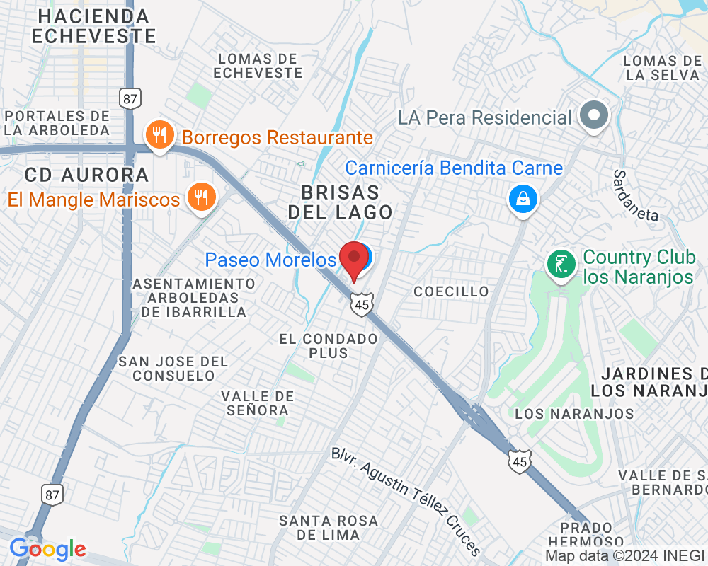 Blvrd Jose María Morelos 807, Los Murales, 37219 León de los Aldama, Gto., México