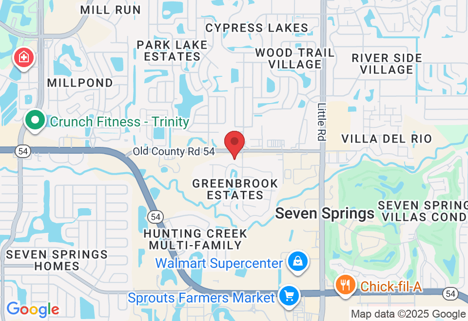 8532 Old County Rd 54, New Port Richey, FL 34653, USA