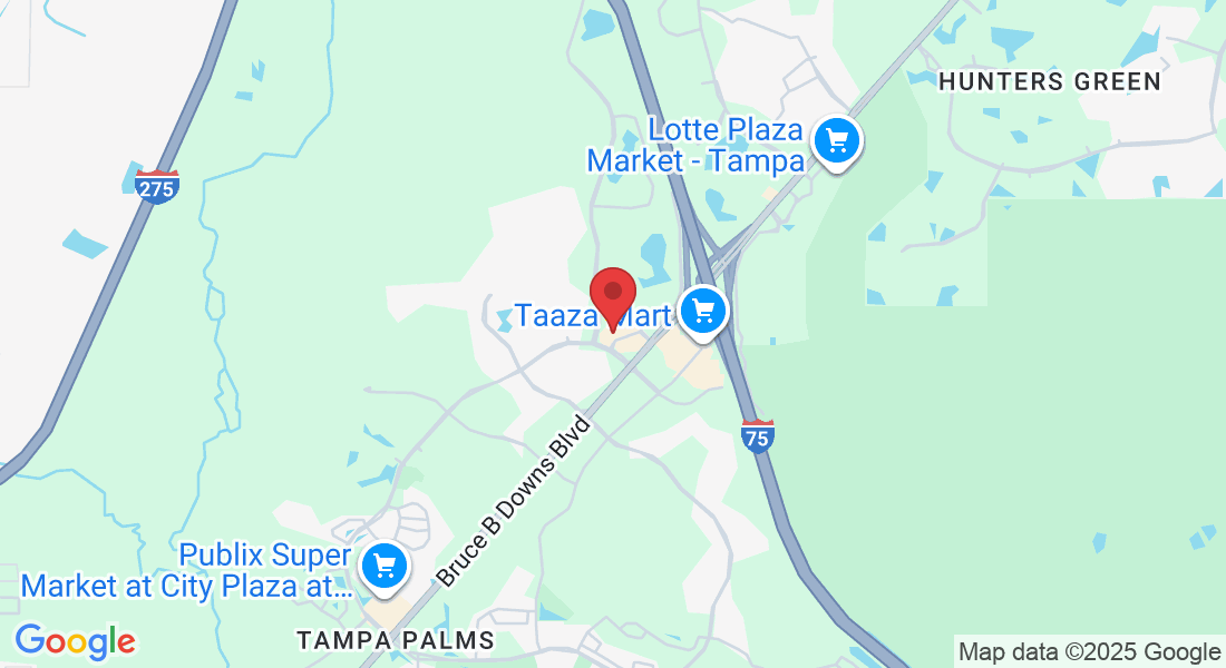 17024 Palm Pointe Dr, Tampa, FL 33647, USA