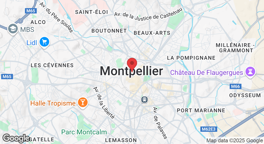 1 bis Rue de l'Université, 34000 Montpellier, France