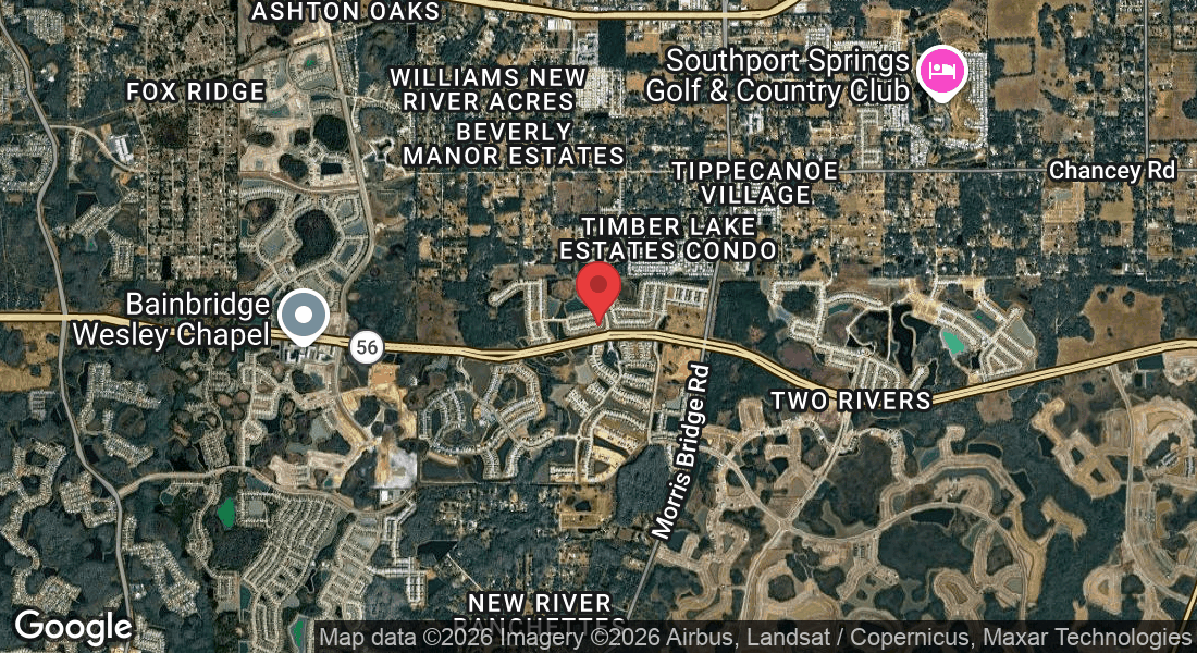 33876 Jasmine Star Lp, Wesley Chapel, FL 33543, USA