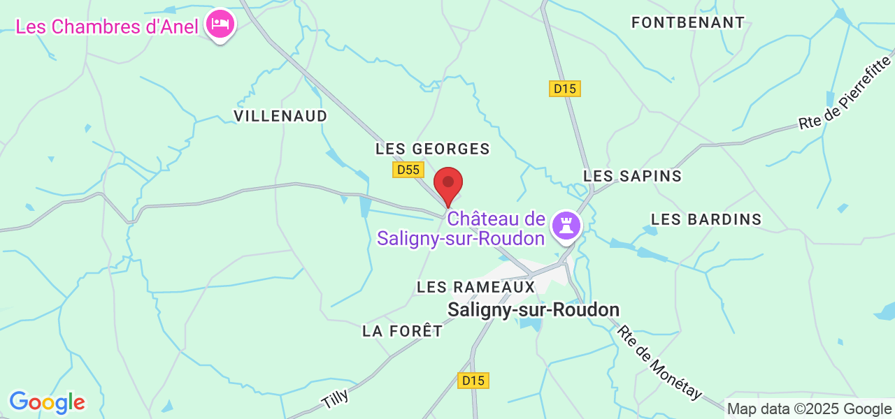 19 Rte de Dompierre, 03470 Saligny-sur-Roudon, France