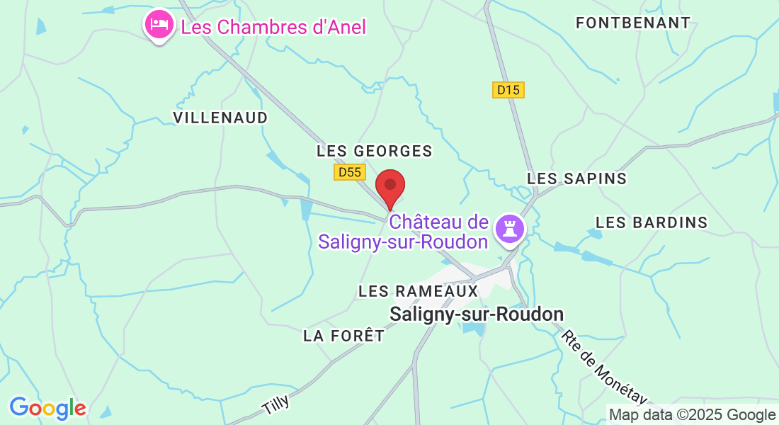 19 Rte de Dompierre, 03470 Saligny-sur-Roudon, France