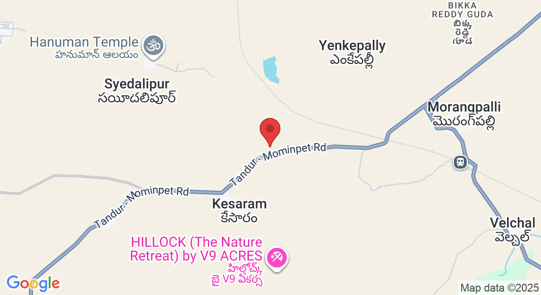 Tandur, Mominpet, Telangana 501202, India