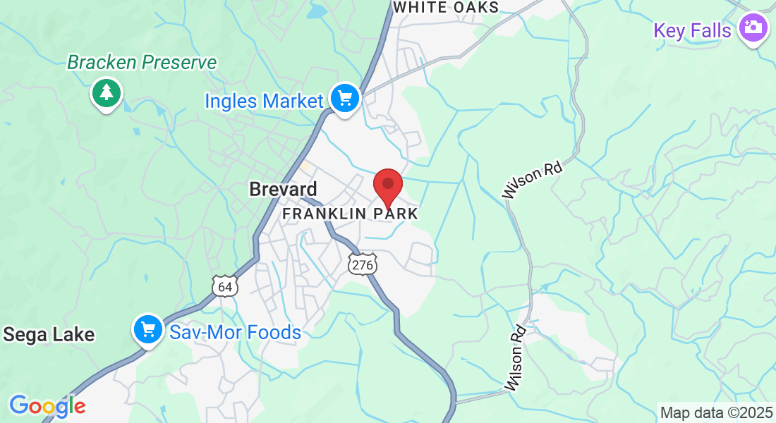 46 Far Hills Terrace, Brevard, NC 28712, USA