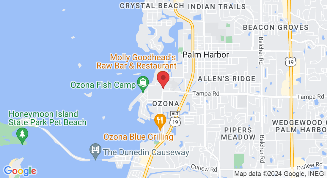 310 Orange St #535, Palm Harbor, FL 34660, USA