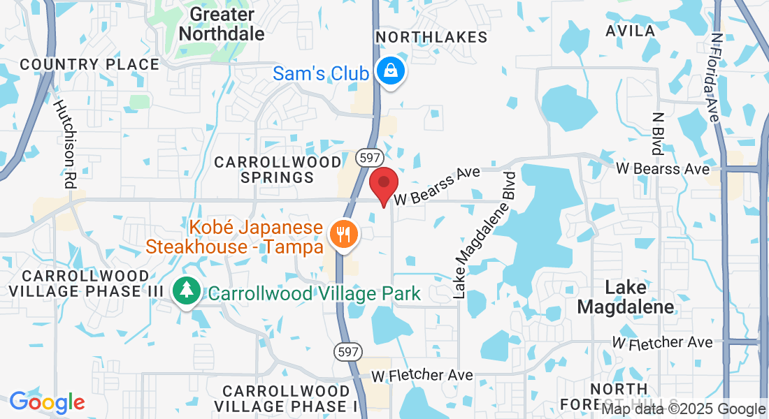 3605 Madaca Ln, Tampa, FL 33618, USA