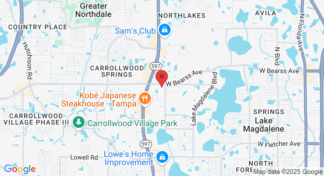 3605 Madaca Ln, Tampa, FL 33618, USA