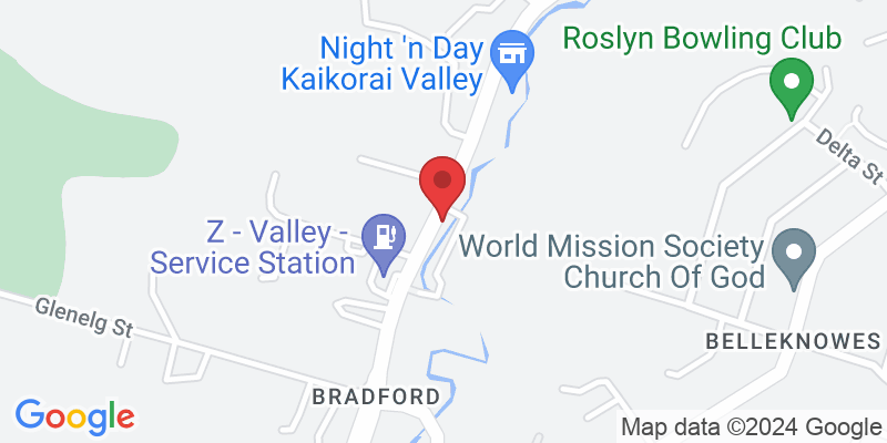 3045146, Bradford, Dunedin 9011, New Zealand