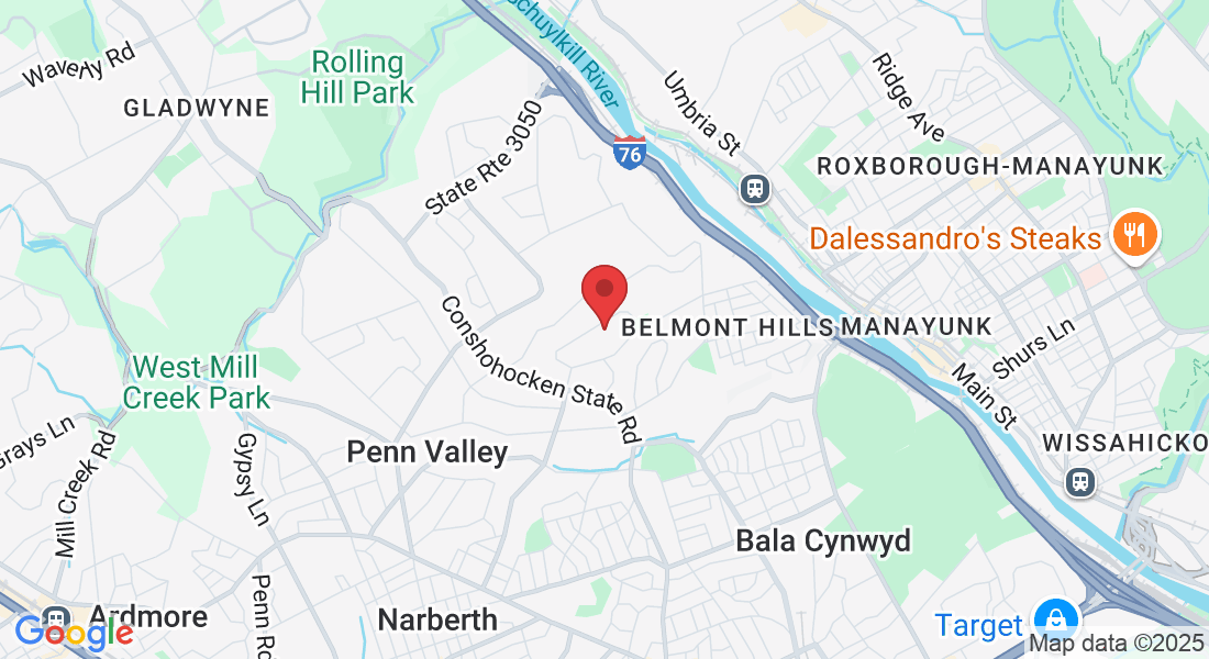 1217 Greentree Ln, Penn Valley, PA 19072, USA