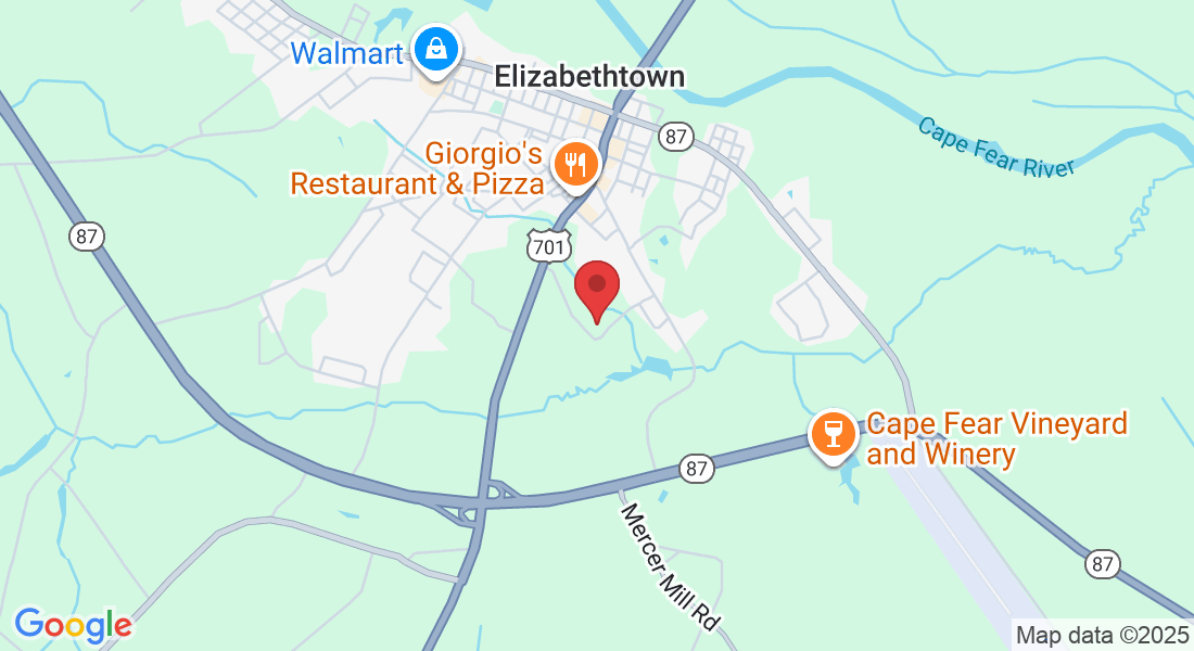 299 Smith Cir, Elizabethtown, NC 28337, USA