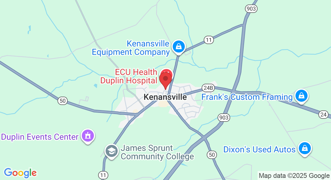 208 Duplin St, Kenansville, NC 28349, USA