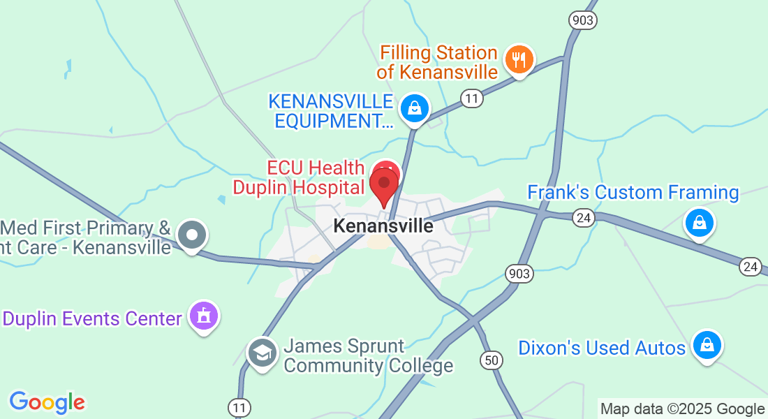 208 Duplin St, Kenansville, NC 28349, USA