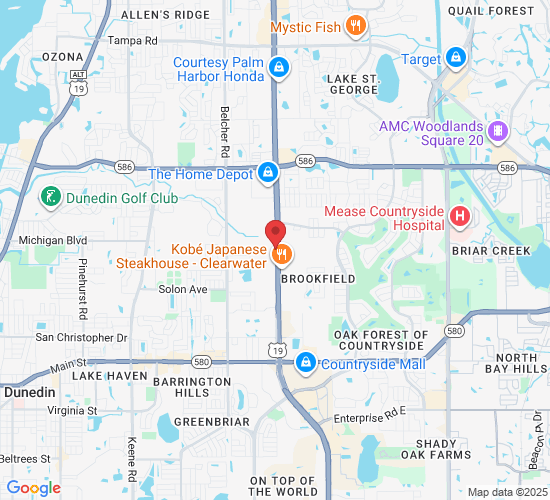 29144 US Hwy 19 N, Clearwater, FL 33761, USA