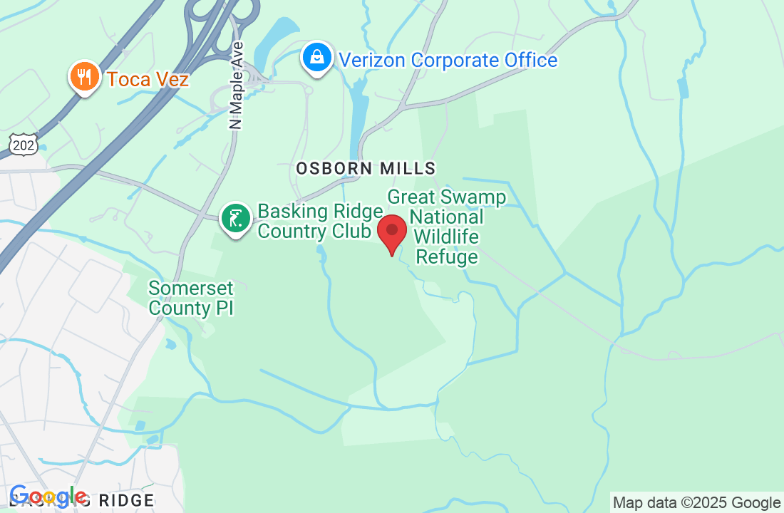 185 Madisonville Rd, Basking Ridge, NJ 07920, USA