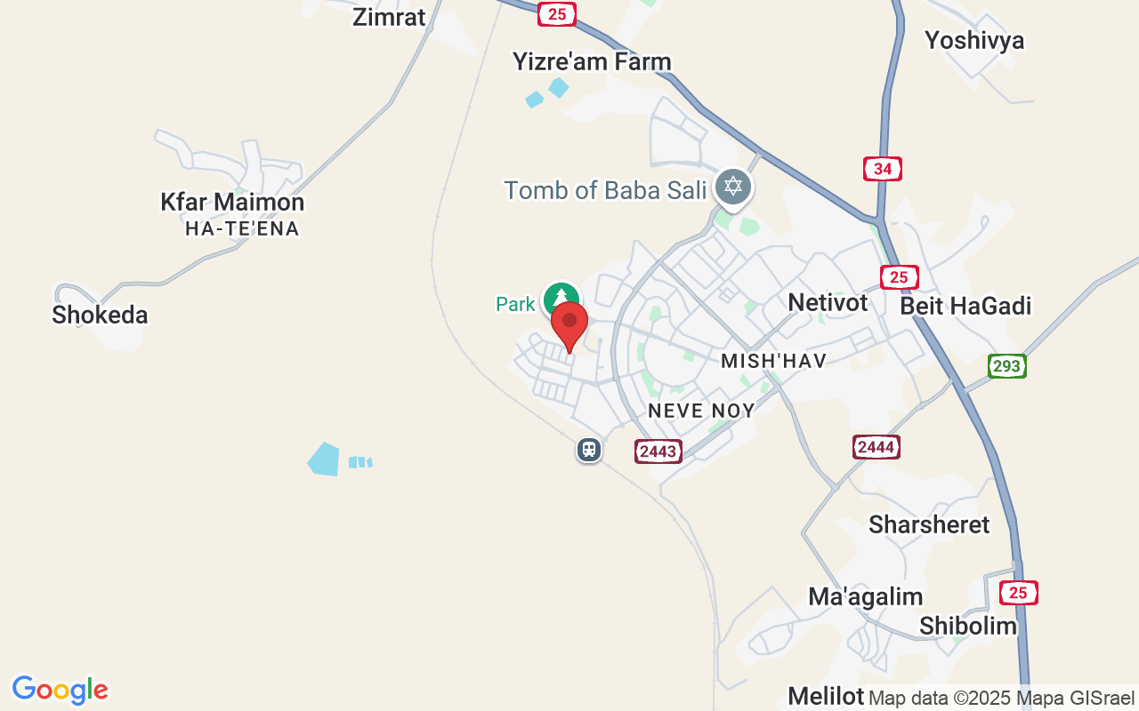 Dugit St 8, Netivot, Israel