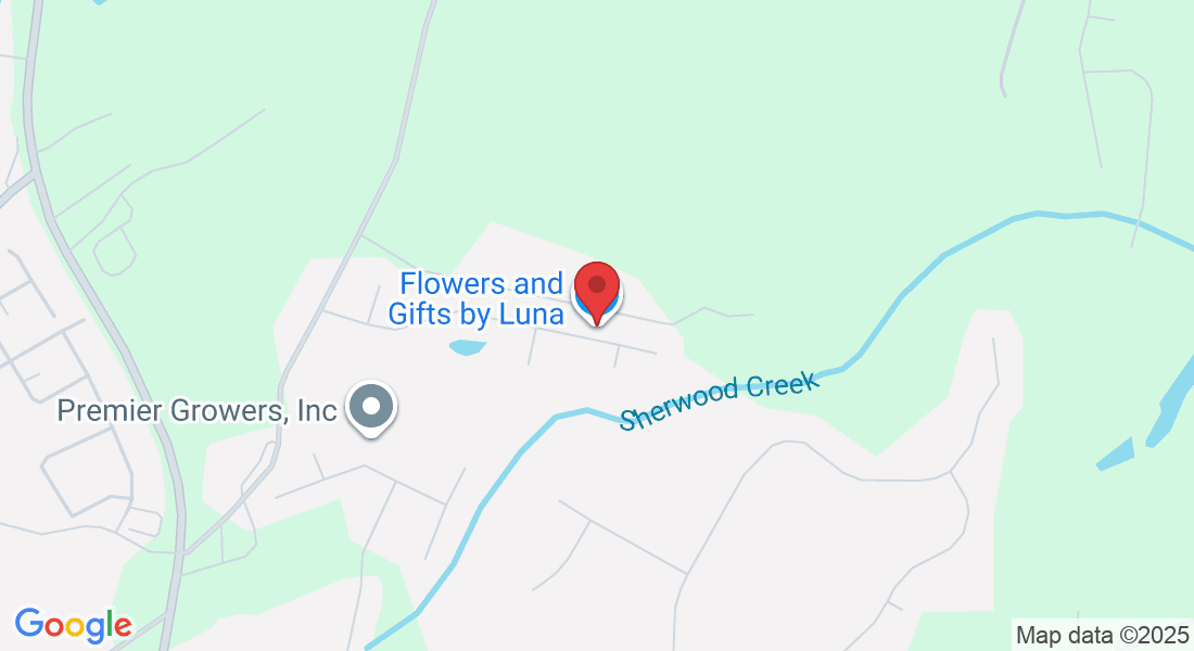 3377 Hill Pond Dr NE, Buford, GA 30519, USA