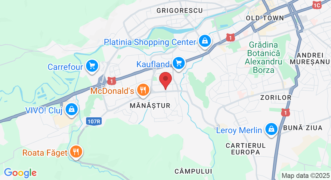 Strada Izlazului 10, Cluj-Napoca 400655, Romania