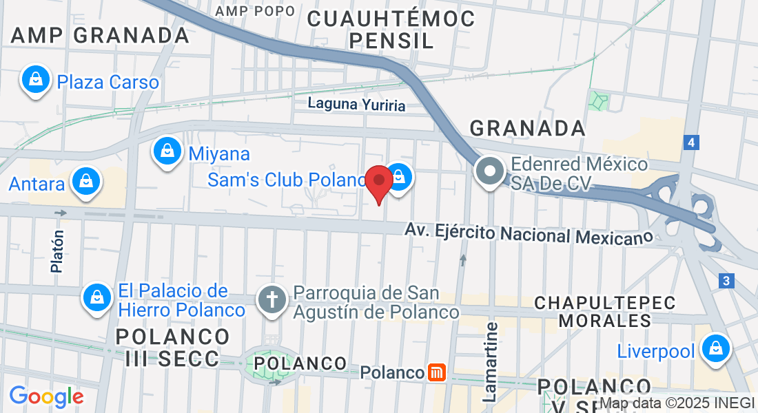 Lago Tanganica 67, Granada, Miguel Hidalgo, 11520 Ciudad de México, CDMX, México