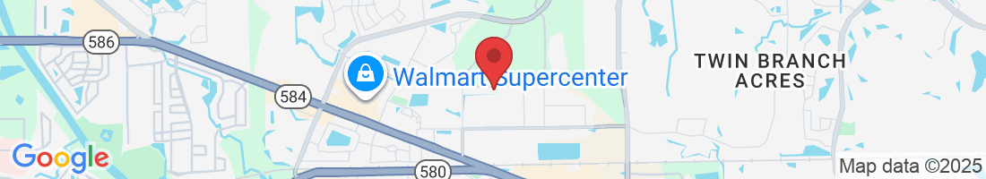 151 Vollmer Ave, Oldsmar, FL 34677, USA