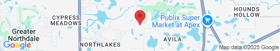 Indian Head Dr, Tampa, FL 33618, USA