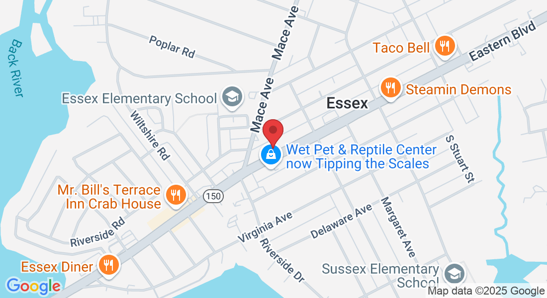 416 Eastern Blvd suite a, Essex, MD 21221, USA