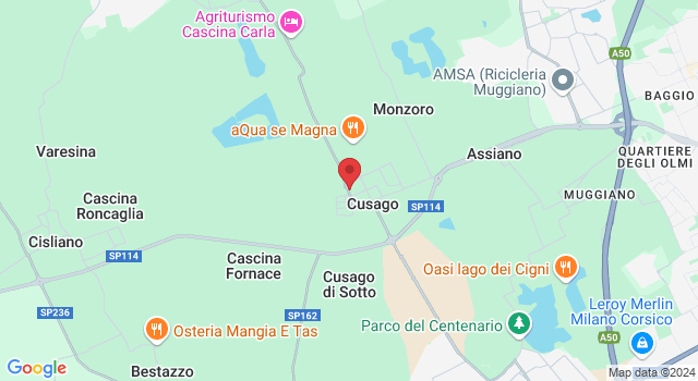 Via Bareggio, 12, 20047 Cusago MI, Italia