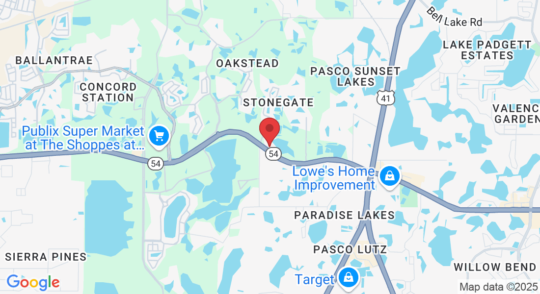 2716 Stonewood Pk Lp, Land O' Lakes, FL 34638, USA