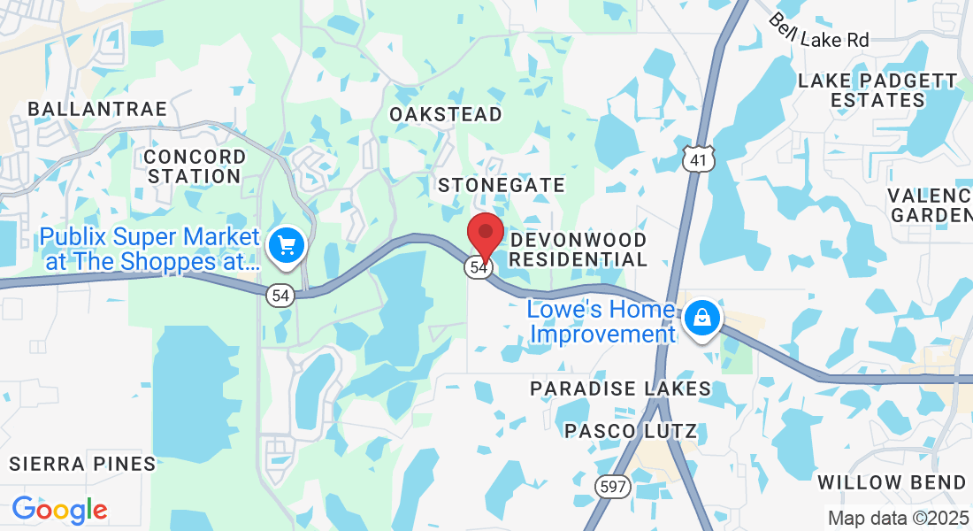 2716 Stonewood Pk Lp, Land O' Lakes, FL 34638, USA
