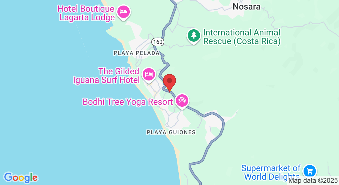2 metros de Orgánico Bakery, Provincia de Guanacaste, Nosara, 50206, Costa Rica