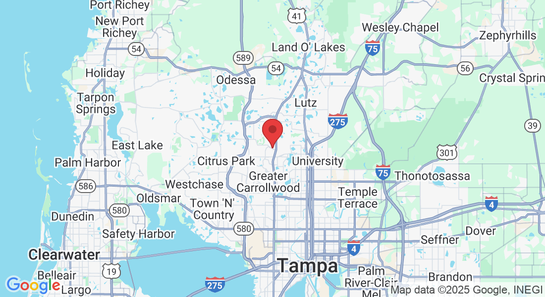 3903 Northdale Blvd #100-E, Tampa, FL 33624, USA