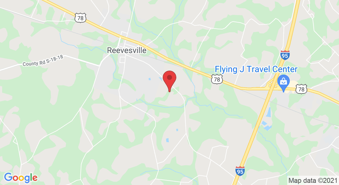 126 Palm St, Reevesville, SC 29471, EE. UU.