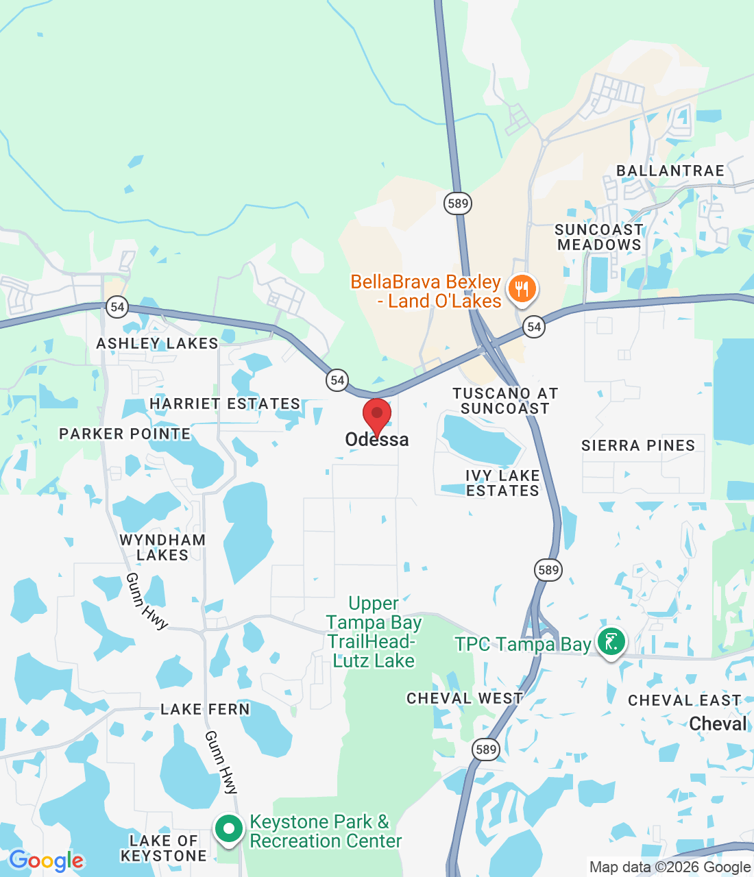 Odessa, FL, USA