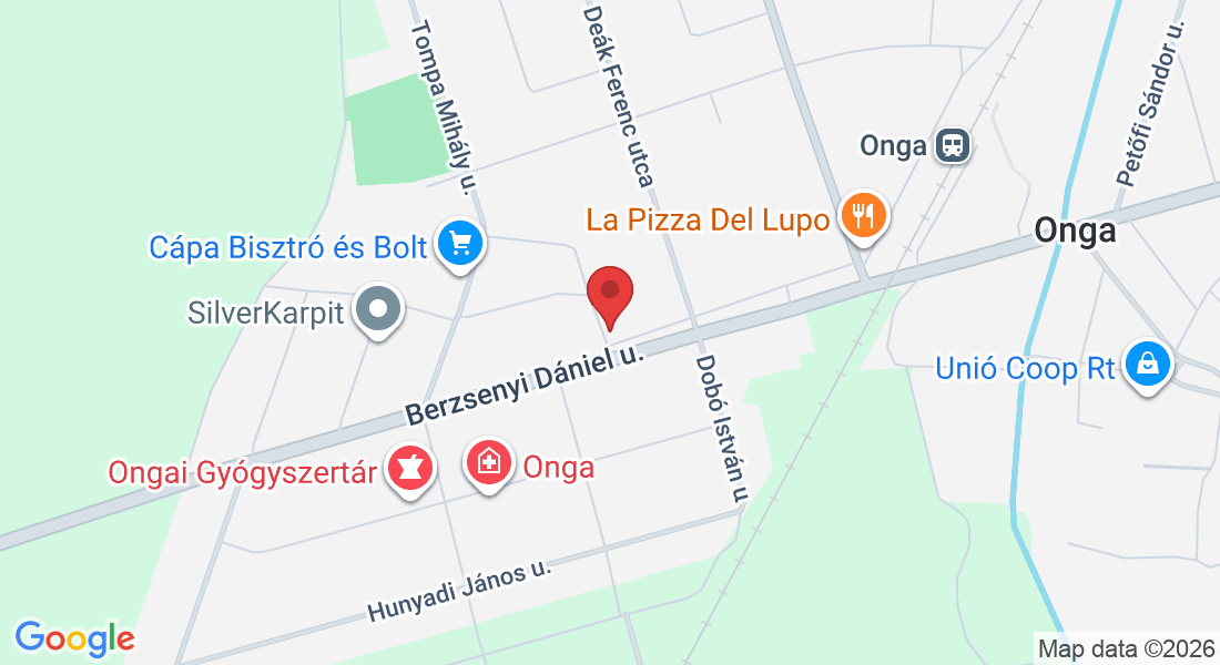 Onga, Berzsenyi Dániel u. 33, 3562 Hungary