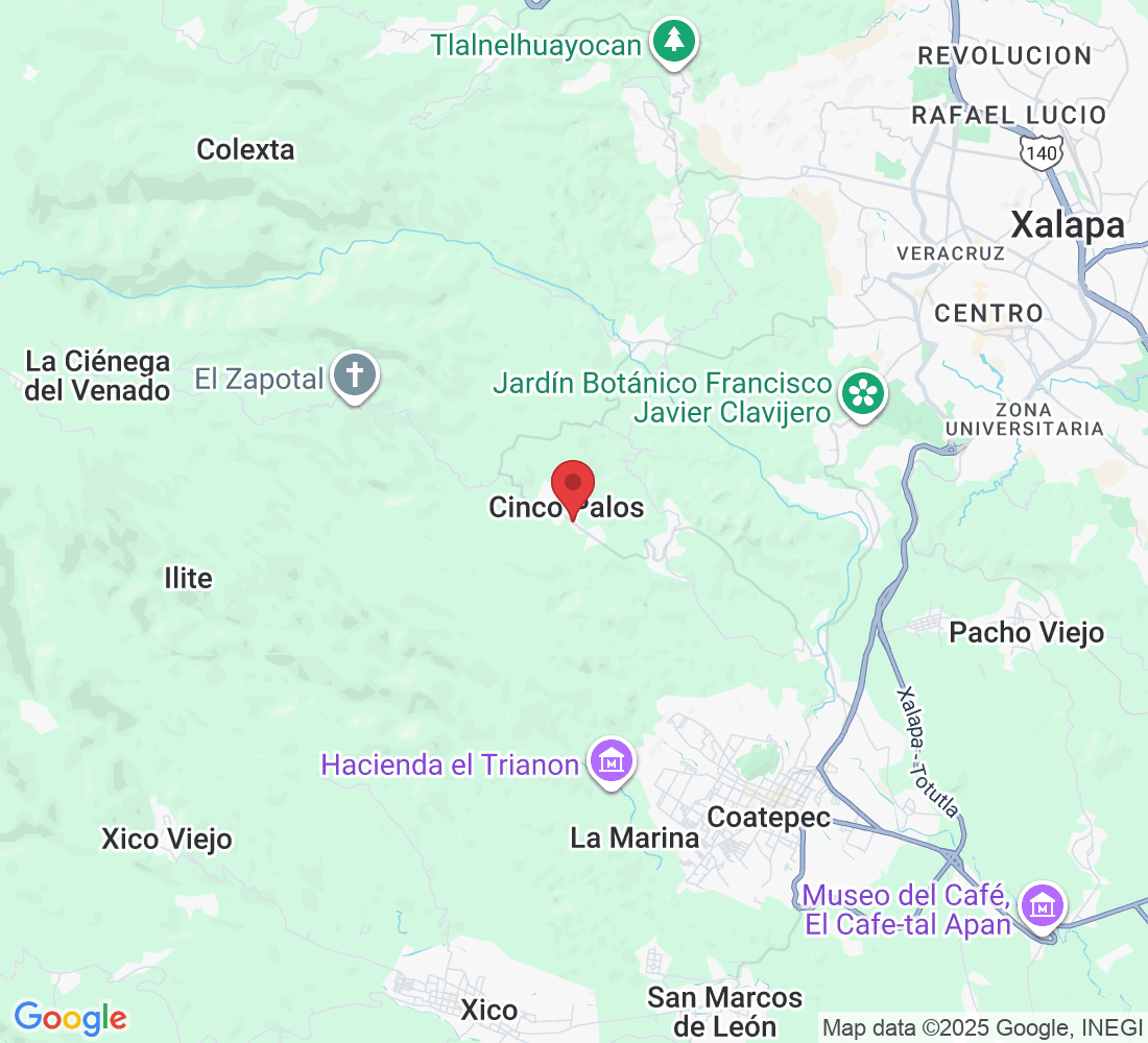 91611 Cinco Palos, Ver., México