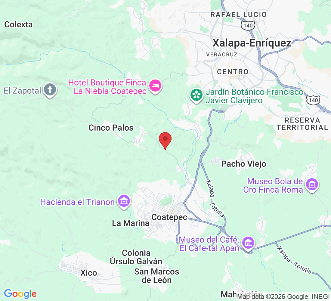 Carretera a 5 palos km 1,9 Consolapa, 91607 Coatepec, Ver., México