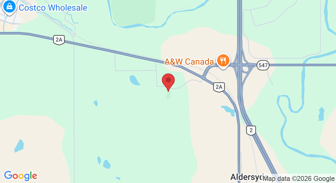 125 Field House Dr E, Aldersyde, AB T1S 0C4, Canada