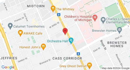 3929 Woodward Ave, Detroit, MI 48201, USA