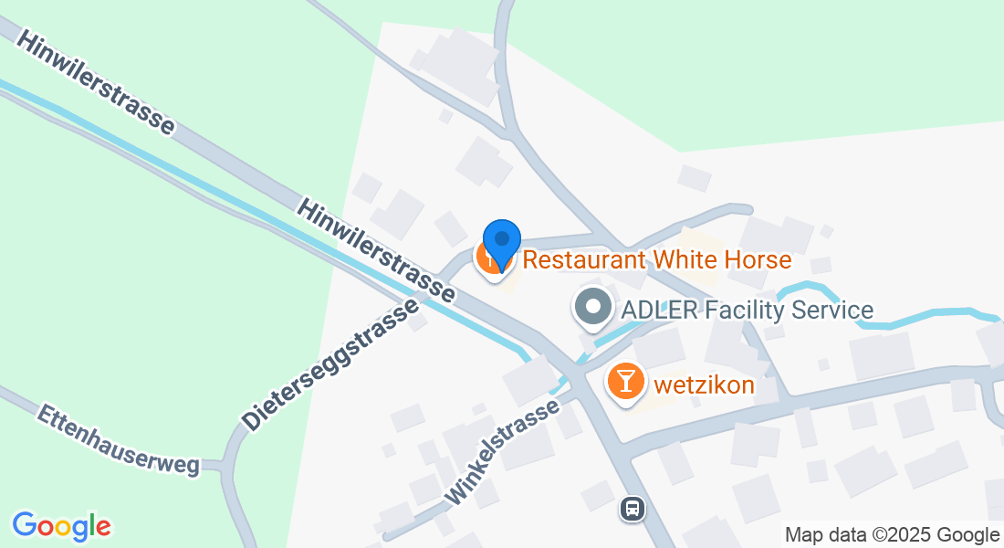 Hinwilerstrasse 169, 8620 Wetzikon, Schweiz