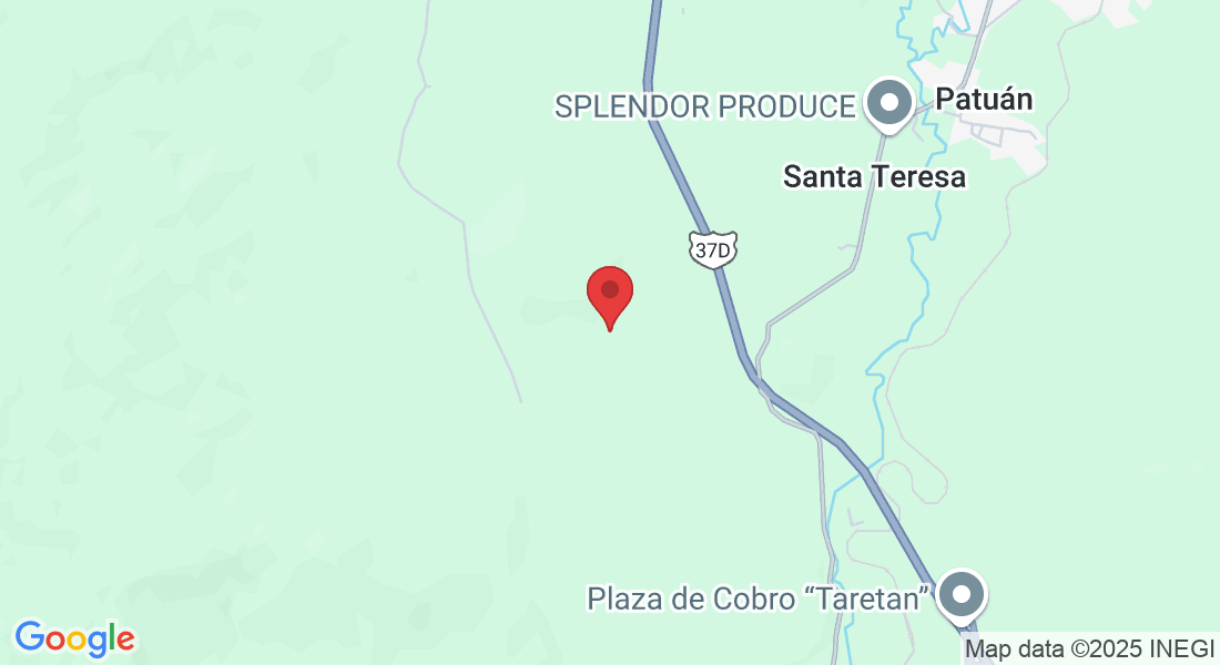 93G4+XR, 61718 Santa Teresa, Michoacán, México